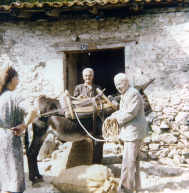 ksidias 004 copy