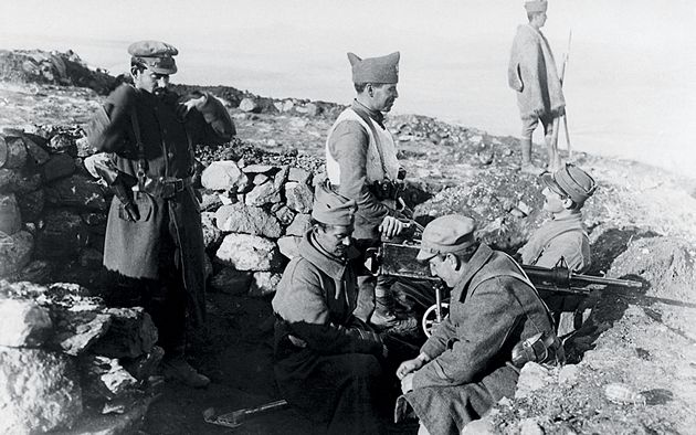 livera stratiotes metopo