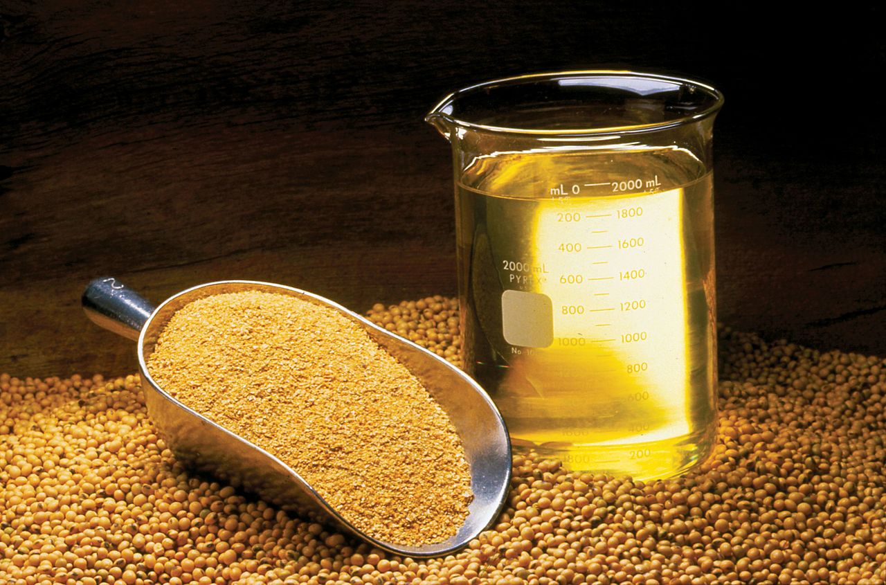 Oil SOYA