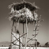 Οι λέξεις μας: Βεργατσούλα και δραγατσούλα - Ντώνω