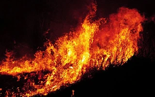 firetn 